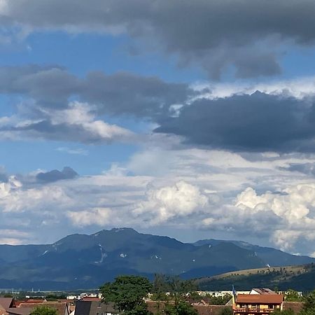 Vila Hora Craiului Zărneşti Exteriör bild